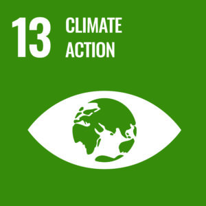 Sustainable Goal number 13: Climate Action